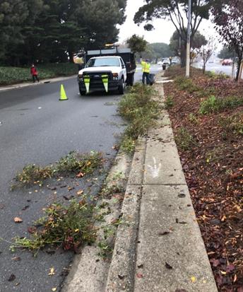 Marina Median Maintenance