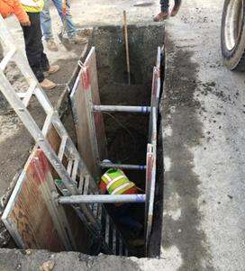 Copy of image 2 for Weekly Report