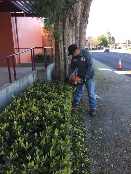 Comm center pruning