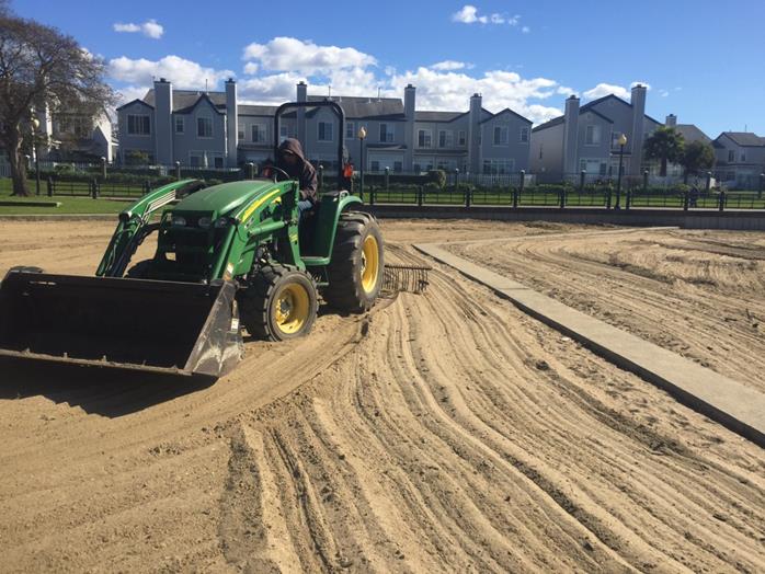 Removing vegitation from beach