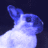 https://pbs.twimg.com/profile_images/1254574887/bluerabbit_pecha100x100_normal.gif