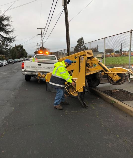 Stump grinding Wendell Park
