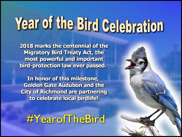 0404-Year of The Bird - New Day 2