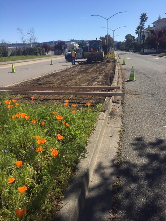 Regatta Median relandscape