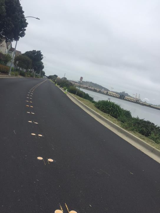 Weed abatement Esplanade