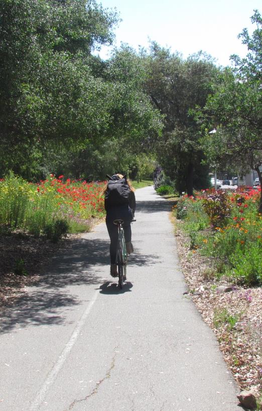 https://i1.wp.com/sf.streetsblog.org/wp-content/uploads/sites/3/2018/04/Poppies.jpg?w=1000&crop=0%2C0px%2C100%2C1567px