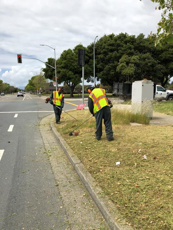 Weed abatement Cutting Ave