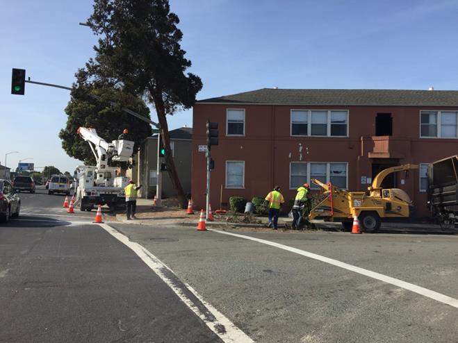 Signal Light Clearing San Pablo Ave & Esmond