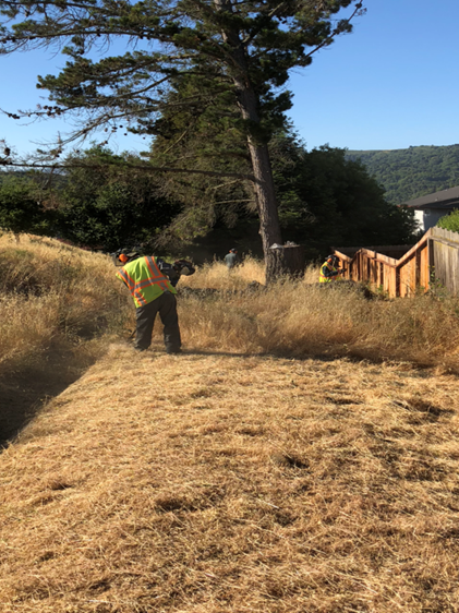Fire breaks abatement