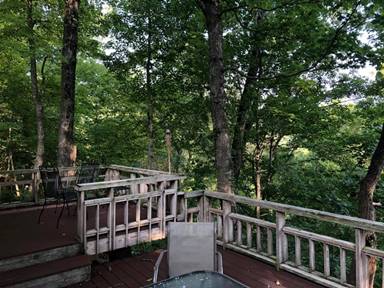 Image may contain: tree, sky, plant, bridge and outdoor