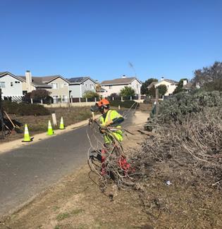Bay Trail Planter