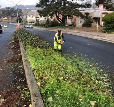 Bayview median