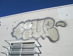 IMG_0905