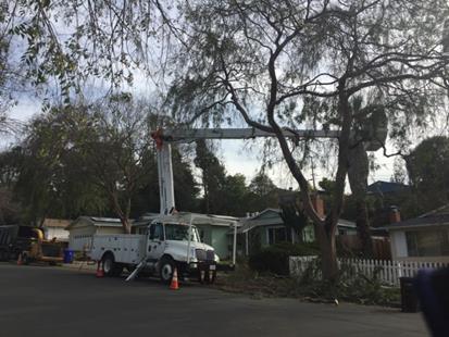 Tree Pruning on Morningside Drive