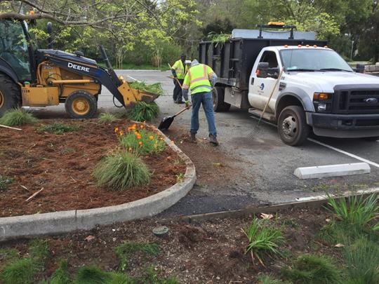 Booker T Anderson_Bioswale Maintenance