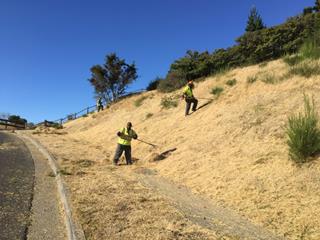 Bonita Road Hillside_Weed Abatement