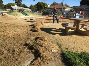 Solano Playlot_Weed Abatement 2