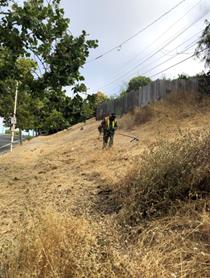 valley view weed abatement