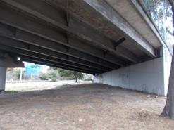 Kearny (6)