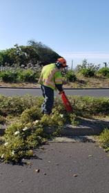 Median Trimming