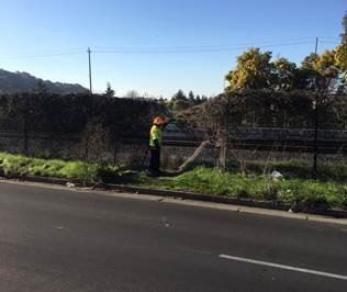 Carlson Fence Repair