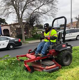 Turf Mowing Baraxton Park