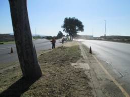 Parkway%20(5)