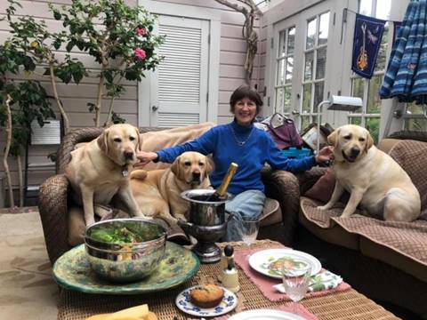 Image may contain: 1 person, dog