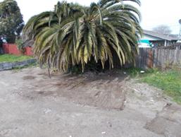 DSCN0037
