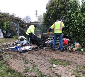Illegal Dumping Boorman Park
