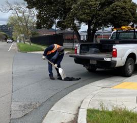 Street crew filling potholes