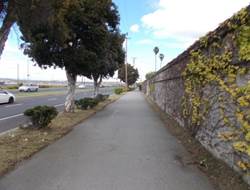 DSCN0185