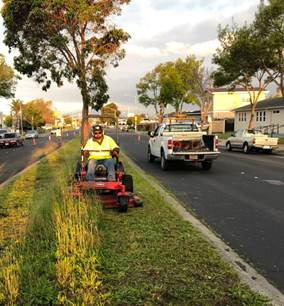 Cutting Ave Median