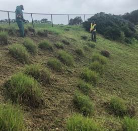 Weed Abatement Country Club