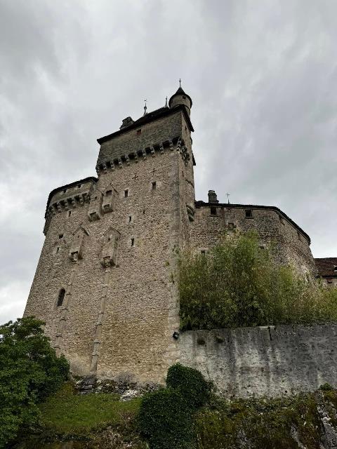 A stone castle with trees and a stone wall Description automatically generated