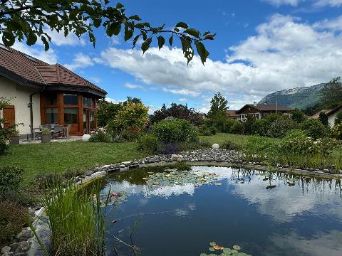 A pond in a backyard with a house and a building in the background Description automatically generated